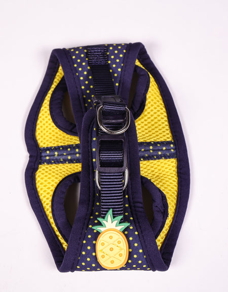 Hundegeschirr Ananas