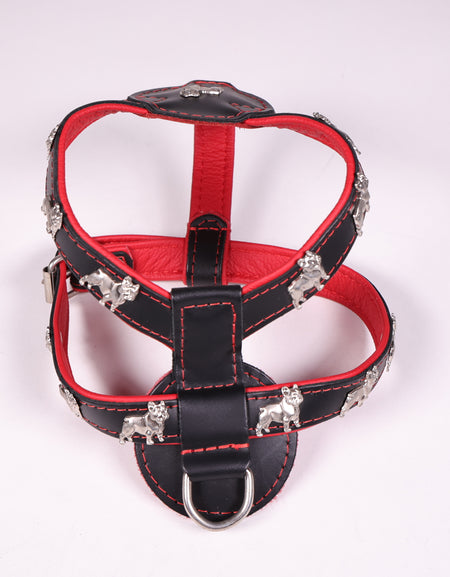 Geschirr Franz. Bulldogge Rot
