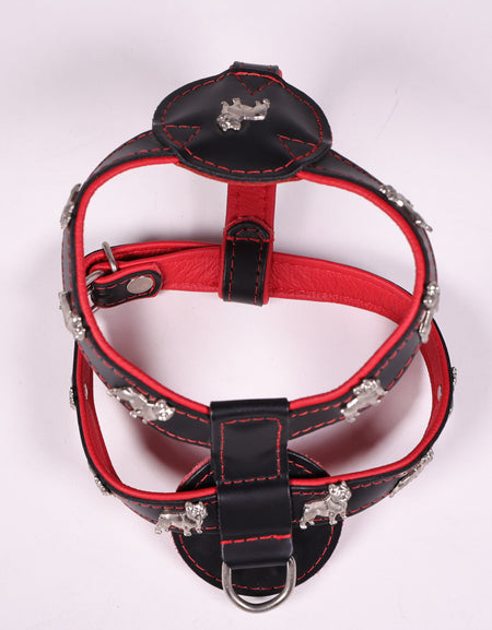 Geschirr Franz. Bulldogge Rot