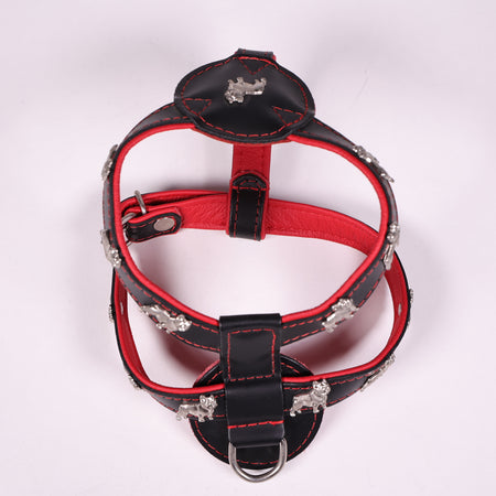 Geschirr Franz. Bulldogge Rot
