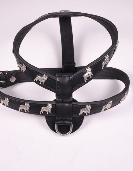 Geschirr Franz. Bulldogge Schwarz