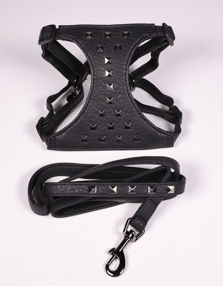 Hundegeschirr Borchie Schwarz Mit Leine