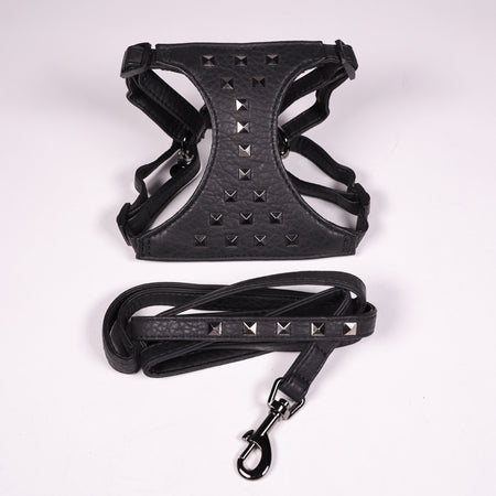 Hundegeschirr Borchie Schwarz Mit Leine