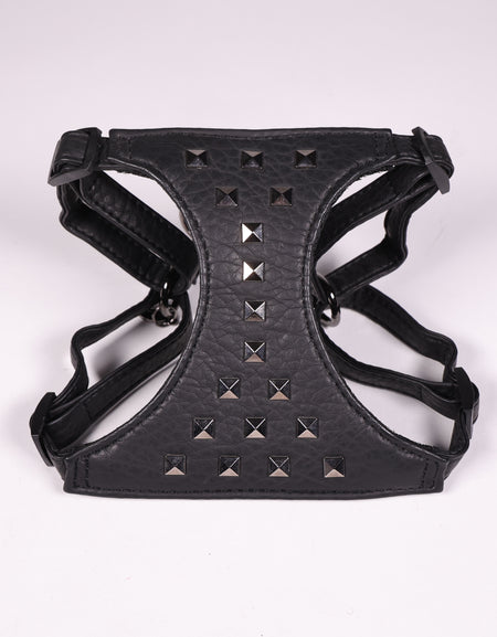 Hundegeschirr Borchie Schwarz Mit Leine