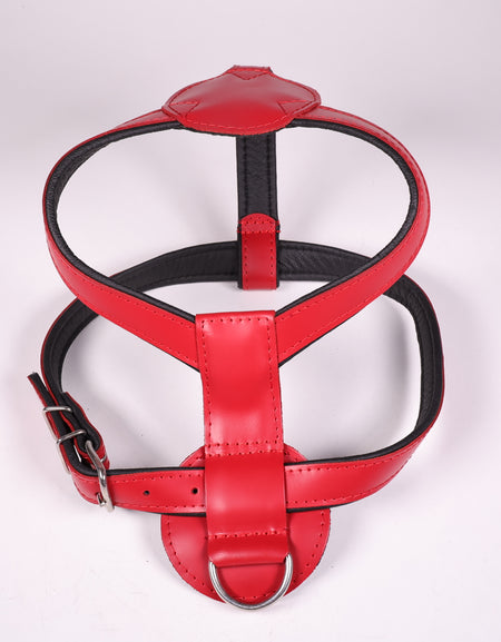 Ledergeschirr Bronco Rot