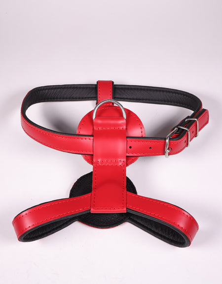 Ledergeschirr Bronco Rot