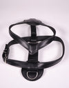 Translation missing: de.sections.featured_product.gallery_thumbnail_alt
