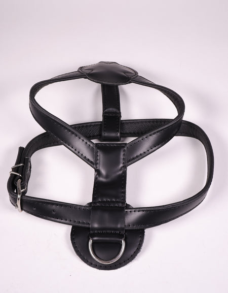 Ledergeschirr Bronco Schwarz
