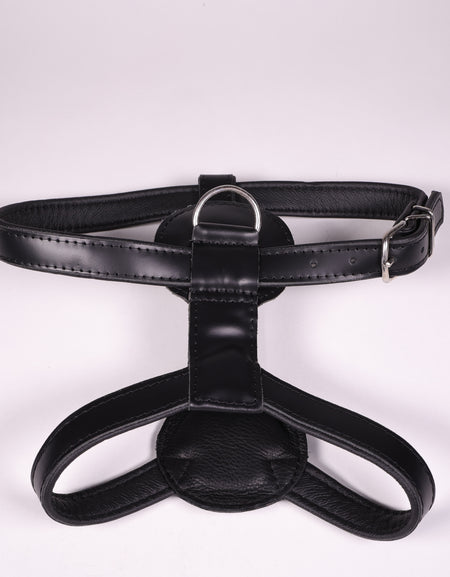 Ledergeschirr Bronco Schwarz