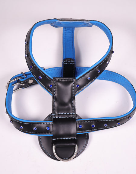 Ledergeschirr Kristall Blau