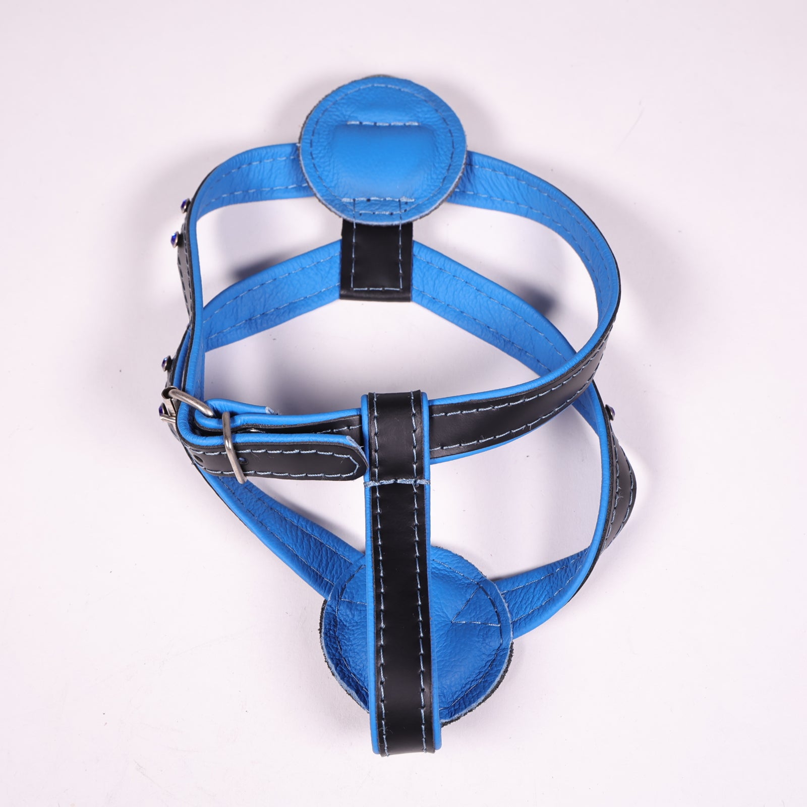 Ledergeschirr Kristall Blau