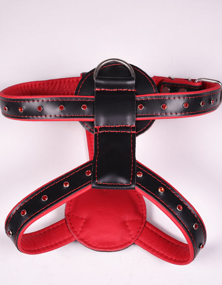 Ledergeschirr Kristall Rot