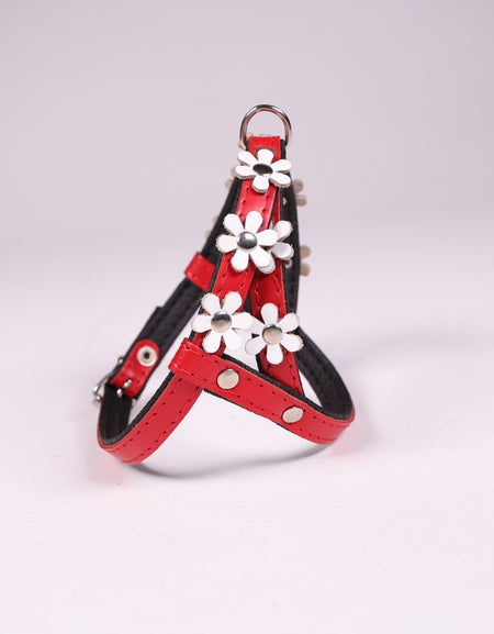 Hundegeschirr La Fleurette Blanc