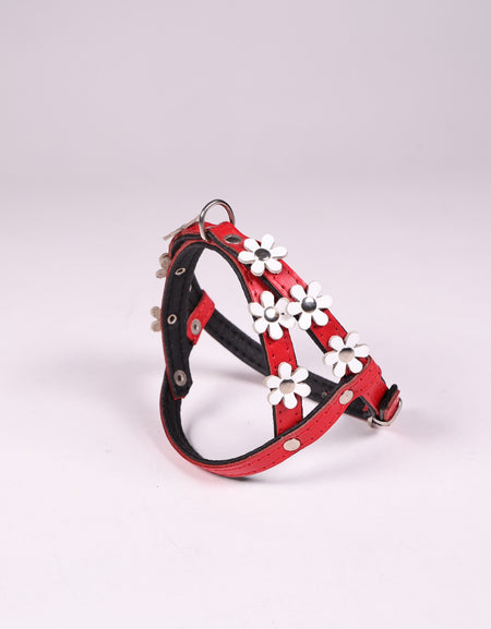 Hundegeschirr La Fleurette Blanc
