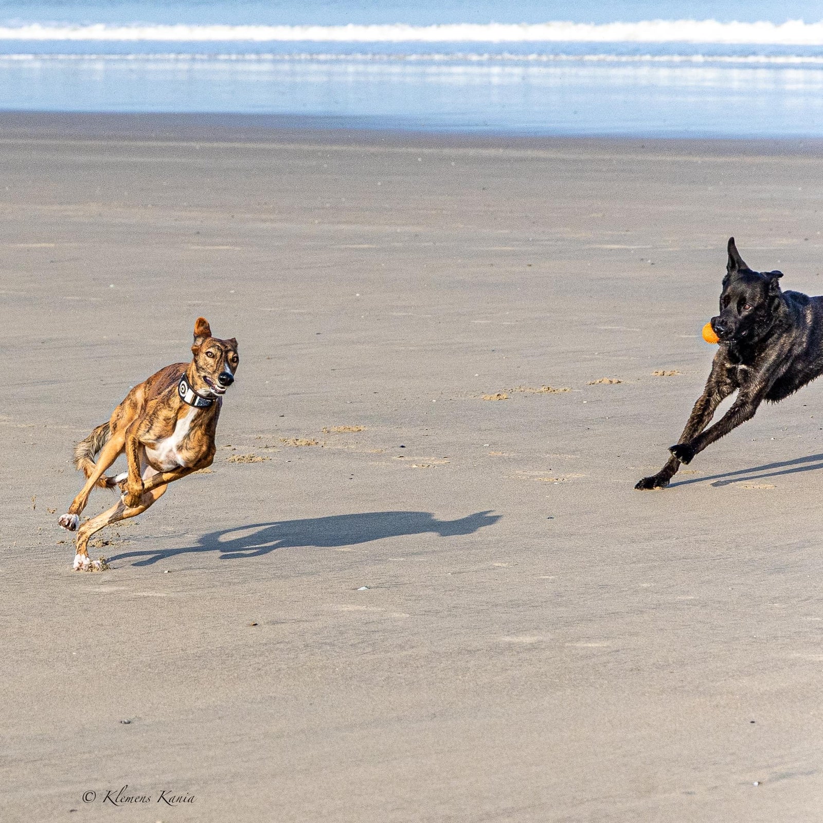 Massai-Windhundhalsband Takaunga