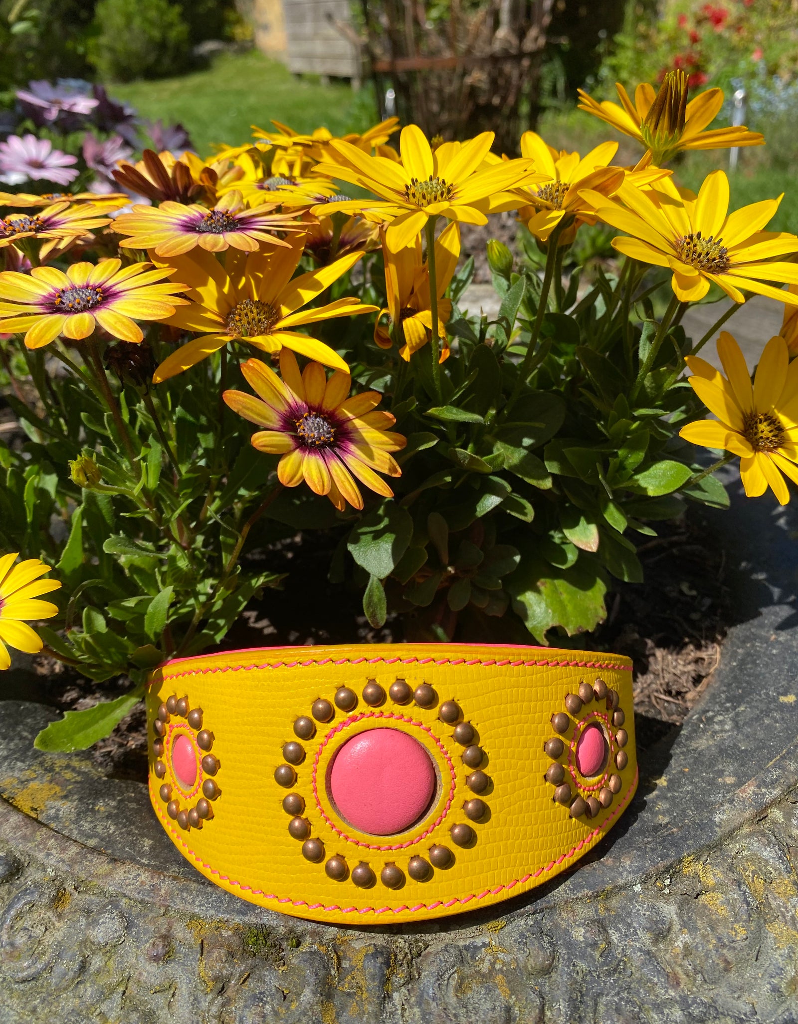 Windhundhalsband Jessy