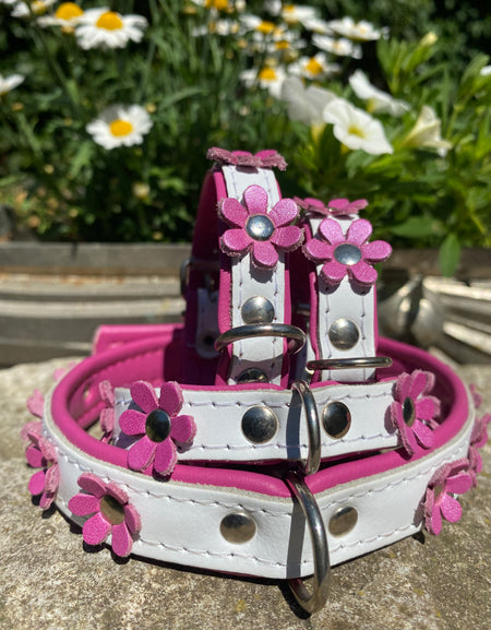 Hundehalsband La Fleurette Rosé