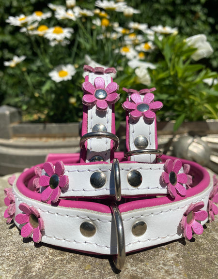 Hundehalsband La Fleurette Rosé
