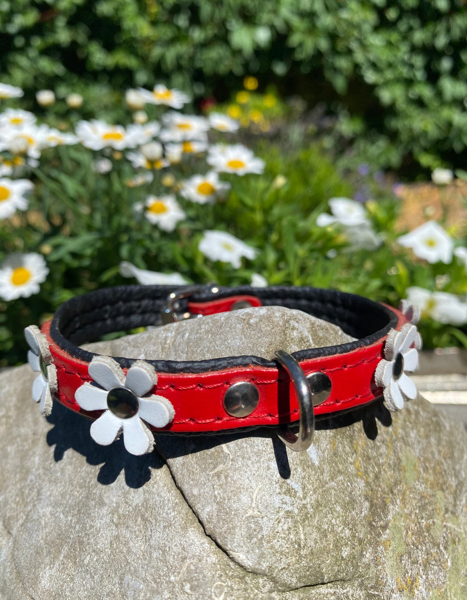Hundehalsband La Fleurette Blanc