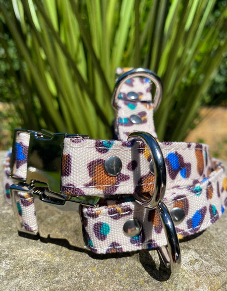 Hundehalsband Safari