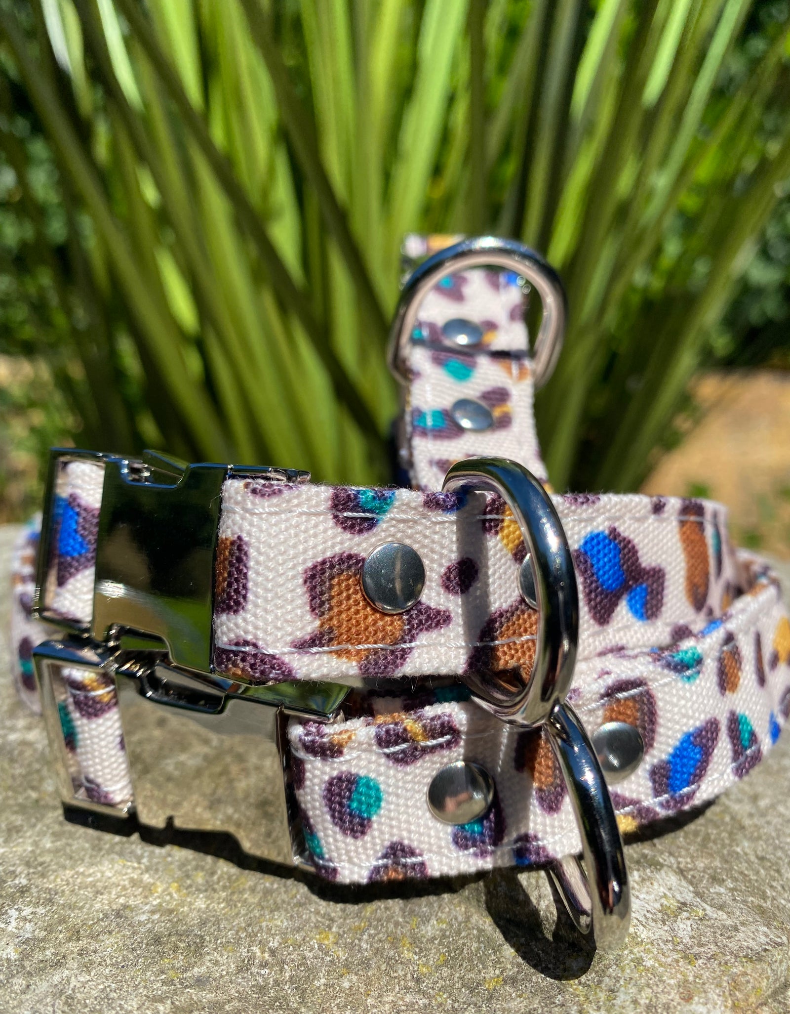 Hundehalsband Safari