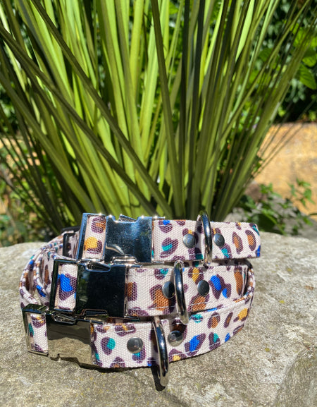 Hundehalsband Safari