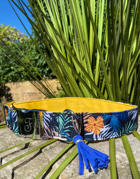 Hundehalsband Kami Gelb