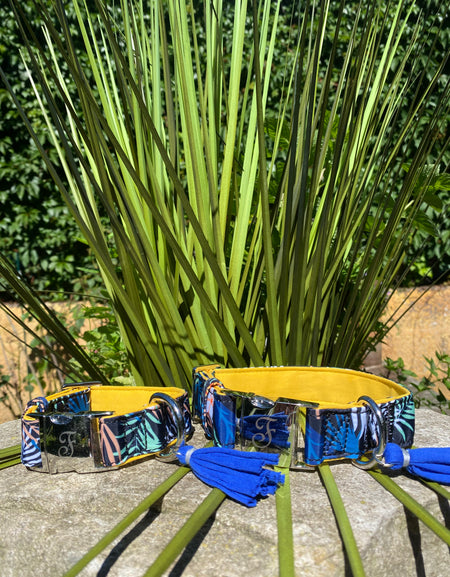 Hundehalsband Kami Gelb