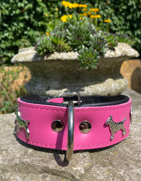 Hundehalsband Bullterrier Pink