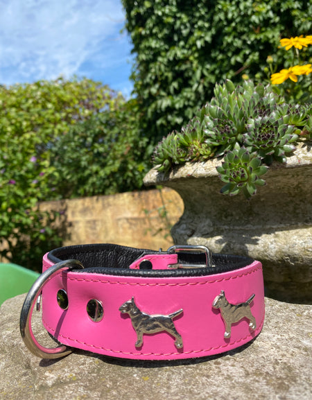 Hundehalsband Bullterrier Pink