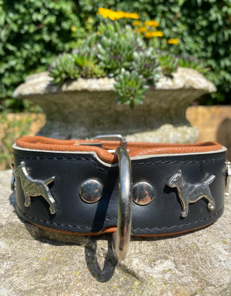 Hundehalsband Bullterrier Schwarz
