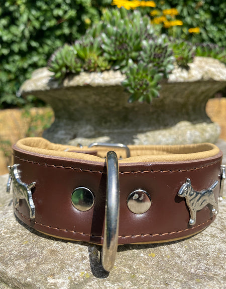 Hundehalsband Bullterrier Braun