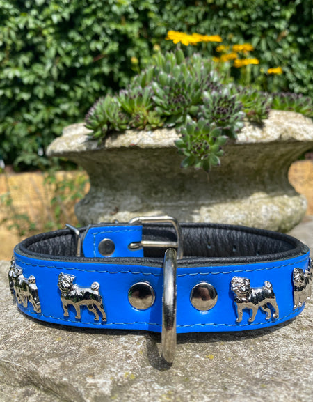 Hundehalsband Mops Blau