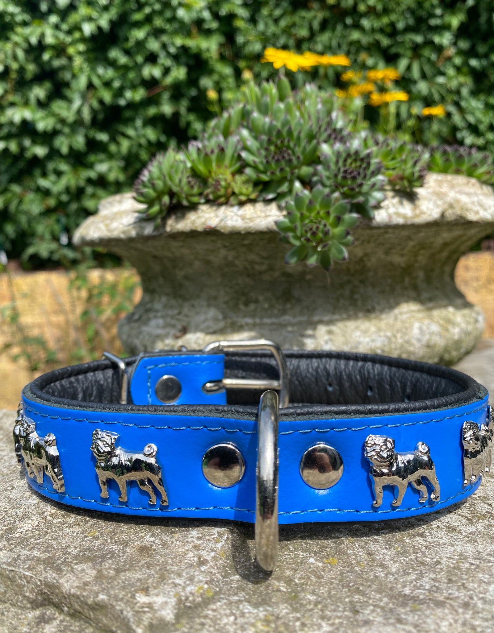 Hundehalsband Mops Blau
