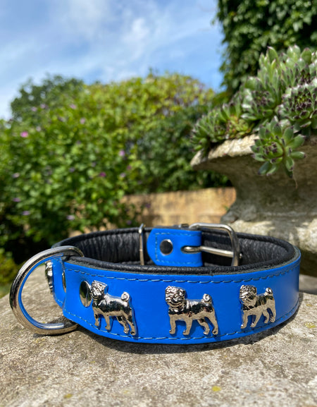 Hundehalsband Mops Blau