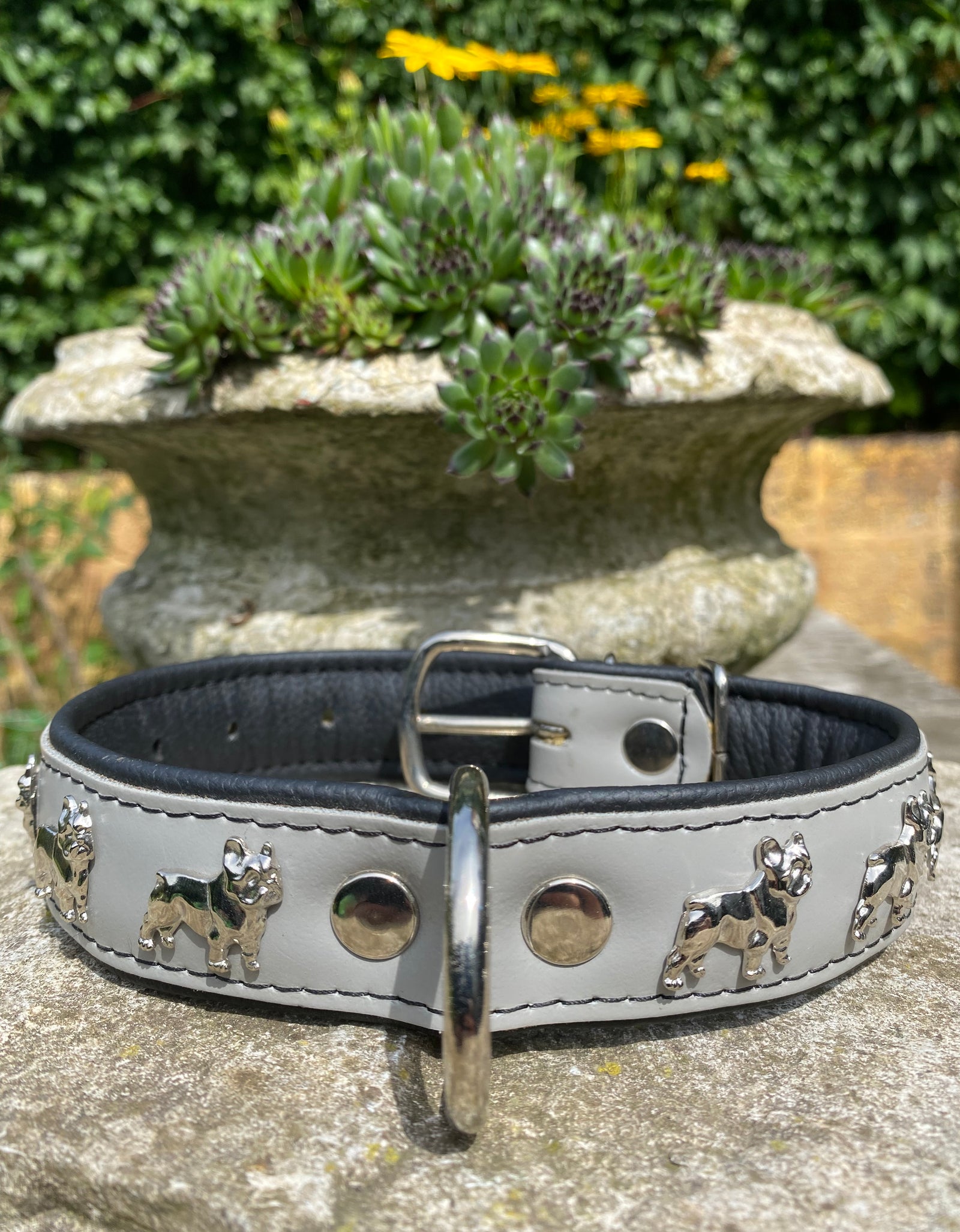 Hundehalsband französische Bulldogge Grau