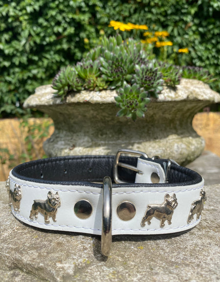 Hundehalsband französische Bulldogge Weiß