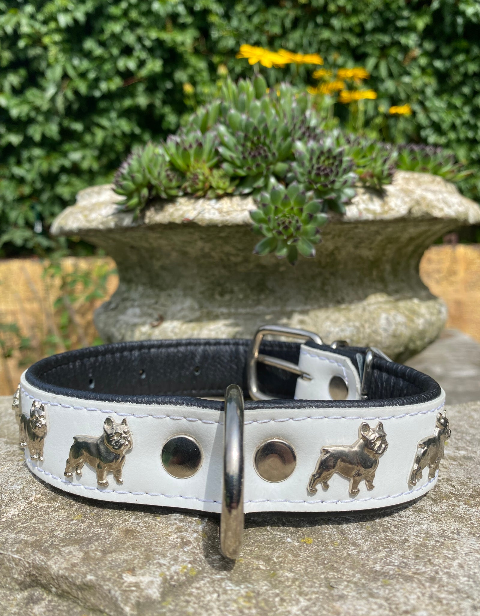 Hundehalsband französische Bulldogge Weiß