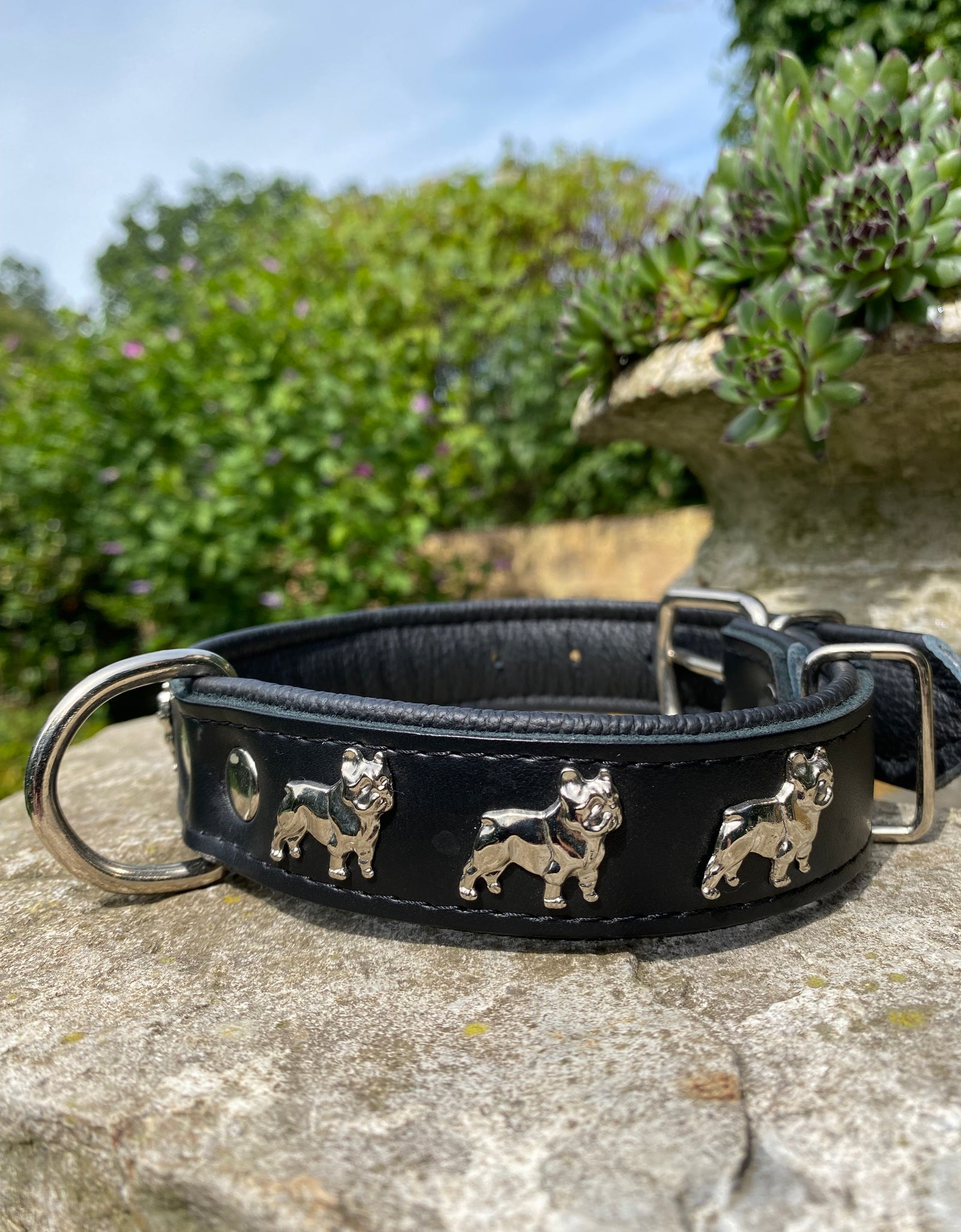 Hundehalsband französische Bulldogge Schwarz