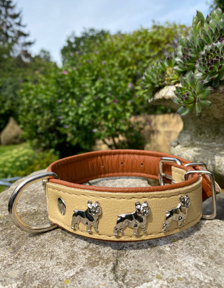 Hundehalsband französische Bulldogge Beige