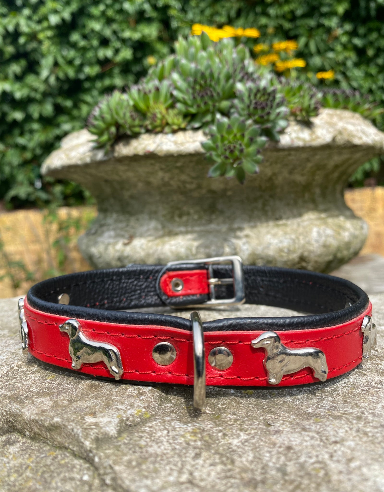 Hundehalsband Dackel Rot