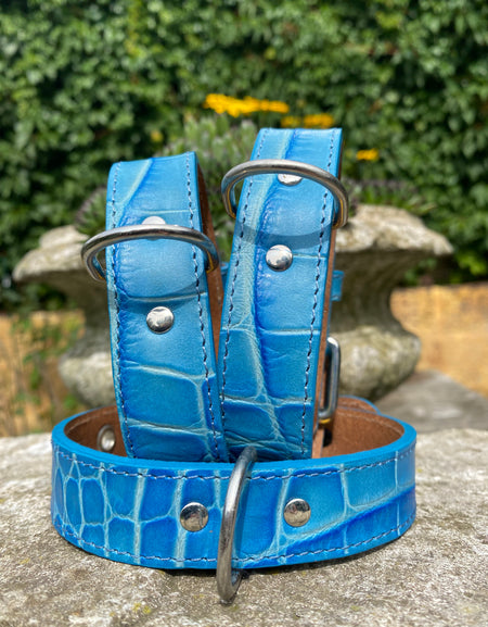 Hundehalsband Bellino, Blau