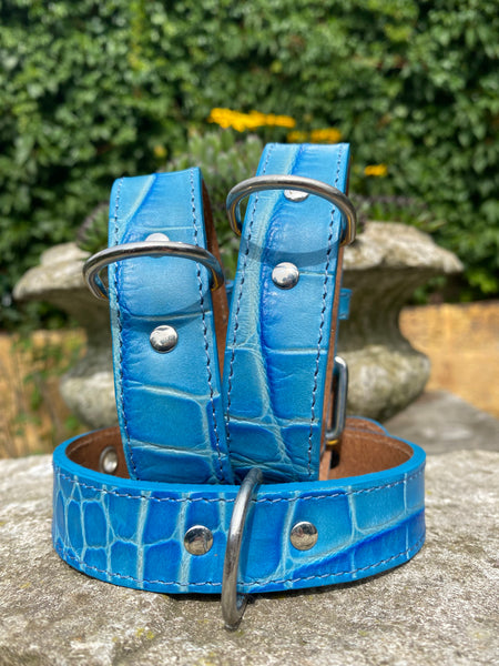 Hundehalsband Bellino, Blau