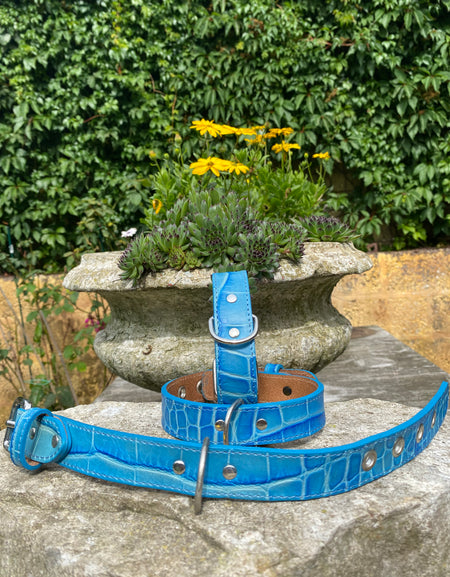 Hundehalsband Bellino, Blau