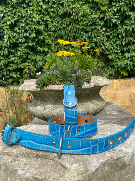 Hundehalsband Bellino, Blau