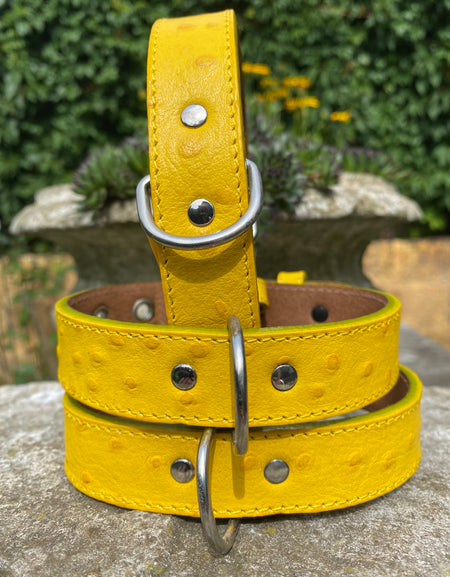 Hundehalsband Bellino, Gelb
