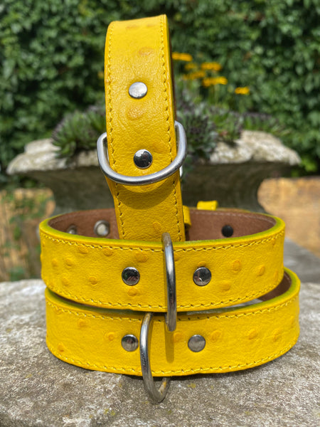 Hundehalsband Bellino, Gelb