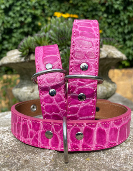 Hundehalsband Bellino, Pink