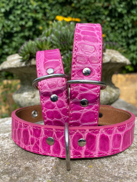 Hundehalsband Bellino, Pink