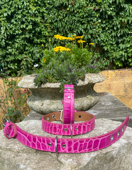 Hundehalsband Bellino, Pink